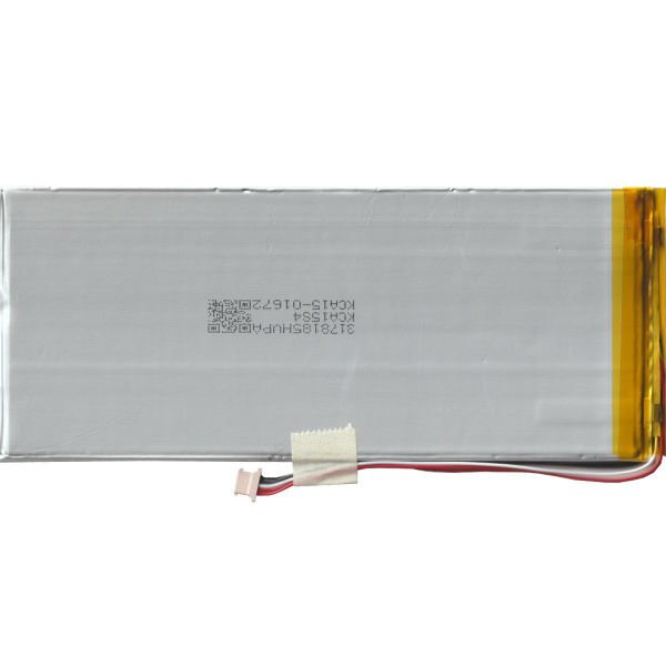 TYPBAT-TB-124 Kodlu Batarya Pil