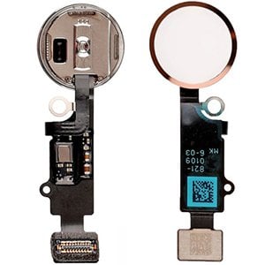 İphone 8 Home Tuş Flex Gold Altın